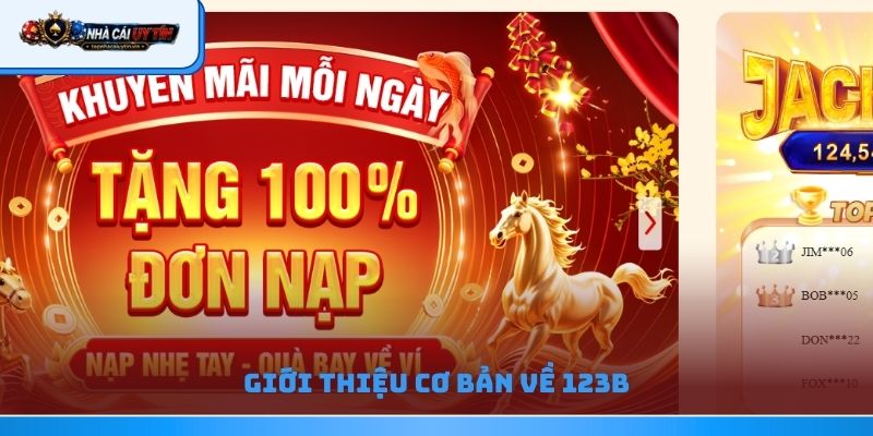 Giới thiệu cơ bản về 123b